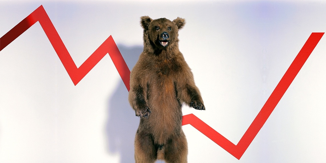 A bear on a market performance line